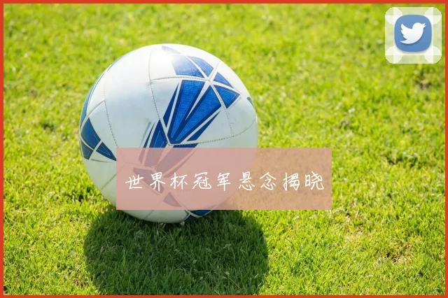 世界杯冠军悬念揭晓