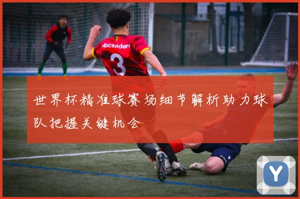 世界杯精准球赛场细节解析助力球队把握关键机会