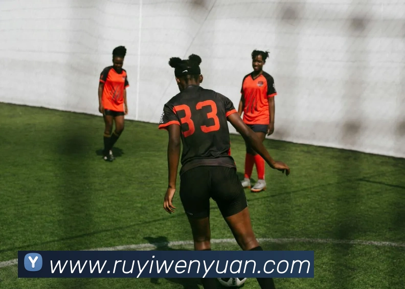 ky平台平台生态图